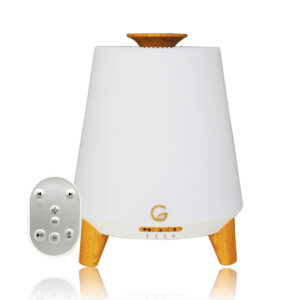Gritz Diffuser For Essential Oil with Light and Bluetooth Speaker
